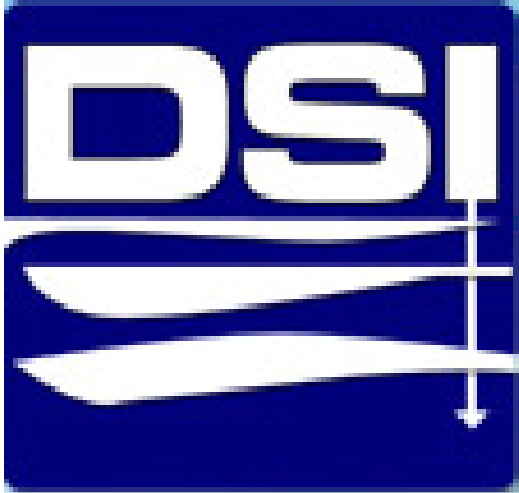 DSI logo-01
